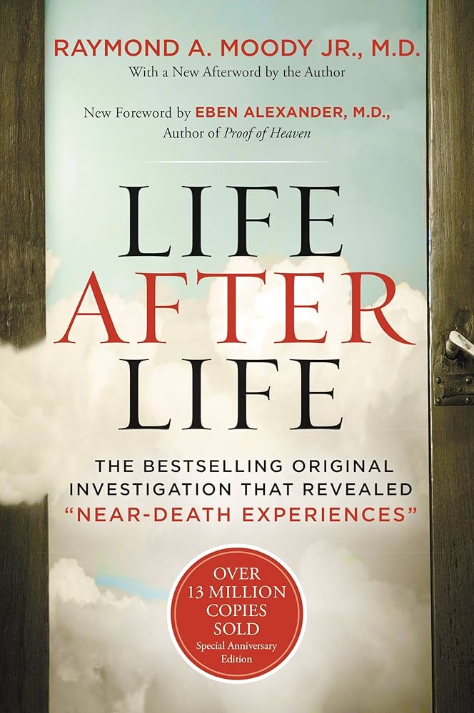 Life After Life: The Bestselling Original Investigation