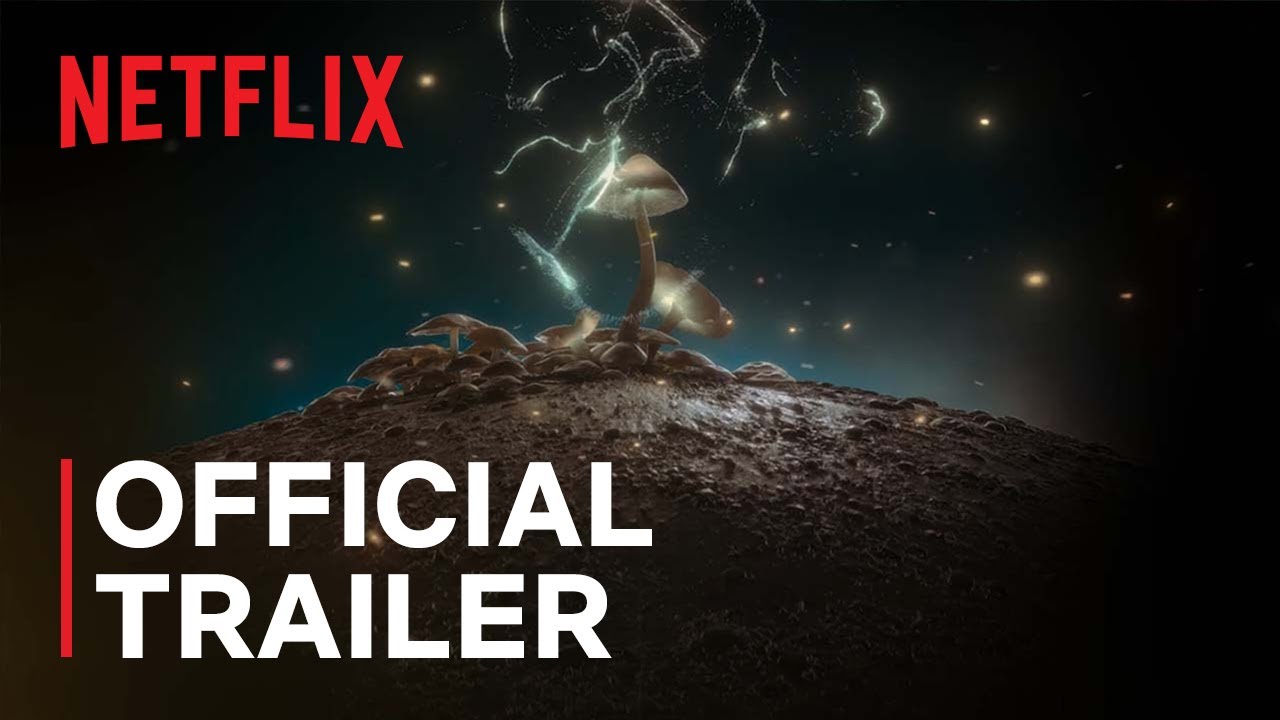 How to Change Your Mind (Official Trailer) | Netflix