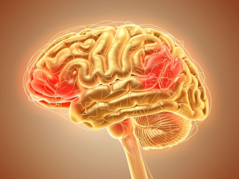 How Trauma Affects the Brain